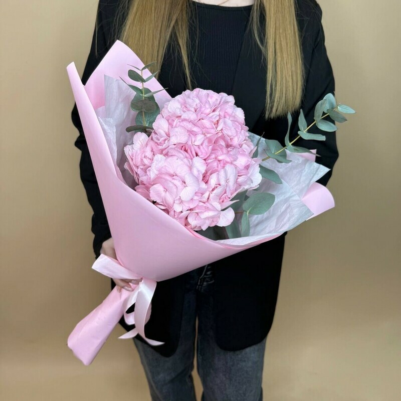 Розовая гортензия, 1 гортензия