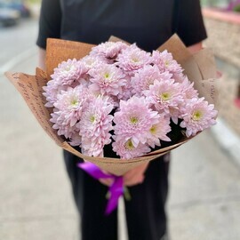 Нежно розовая хризантема