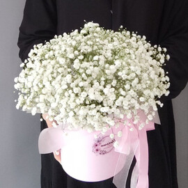 Kompozitciya iz gipsofili