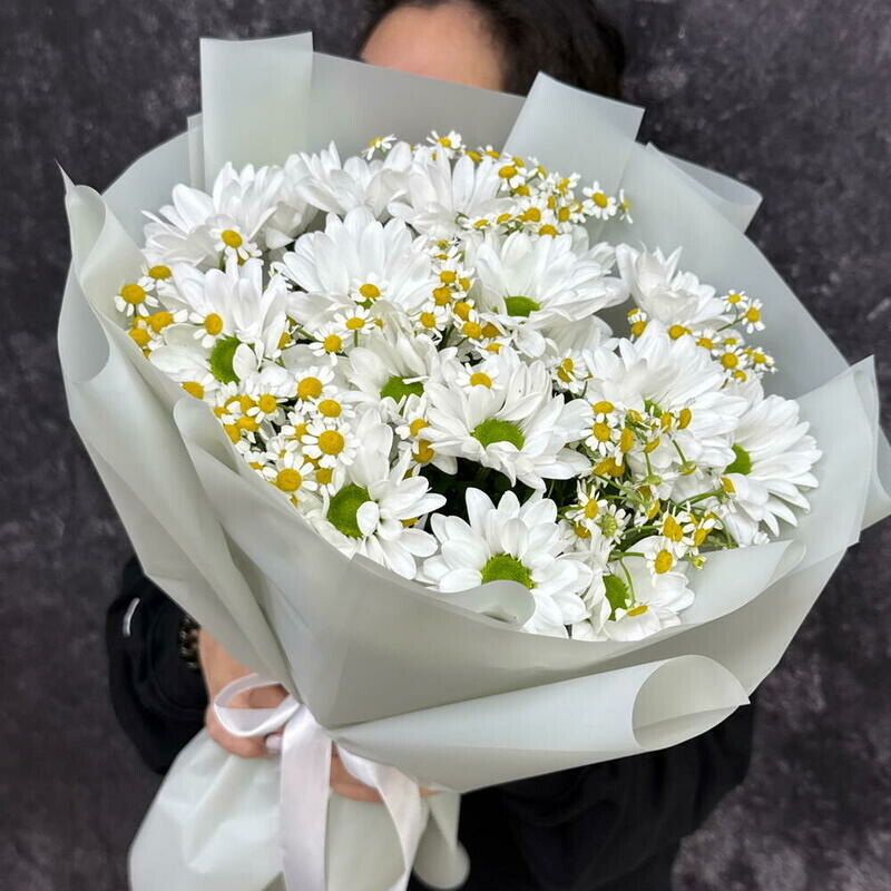 Мамина улыбка , стандартный