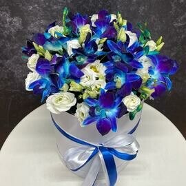 Цветы в коробке дендробим