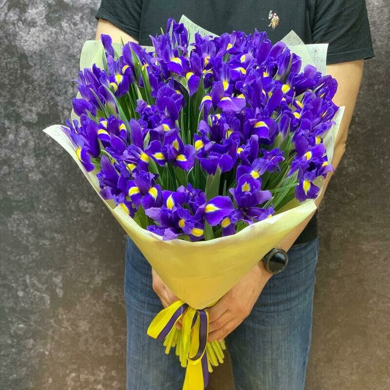 Звёздное небо , ирис 