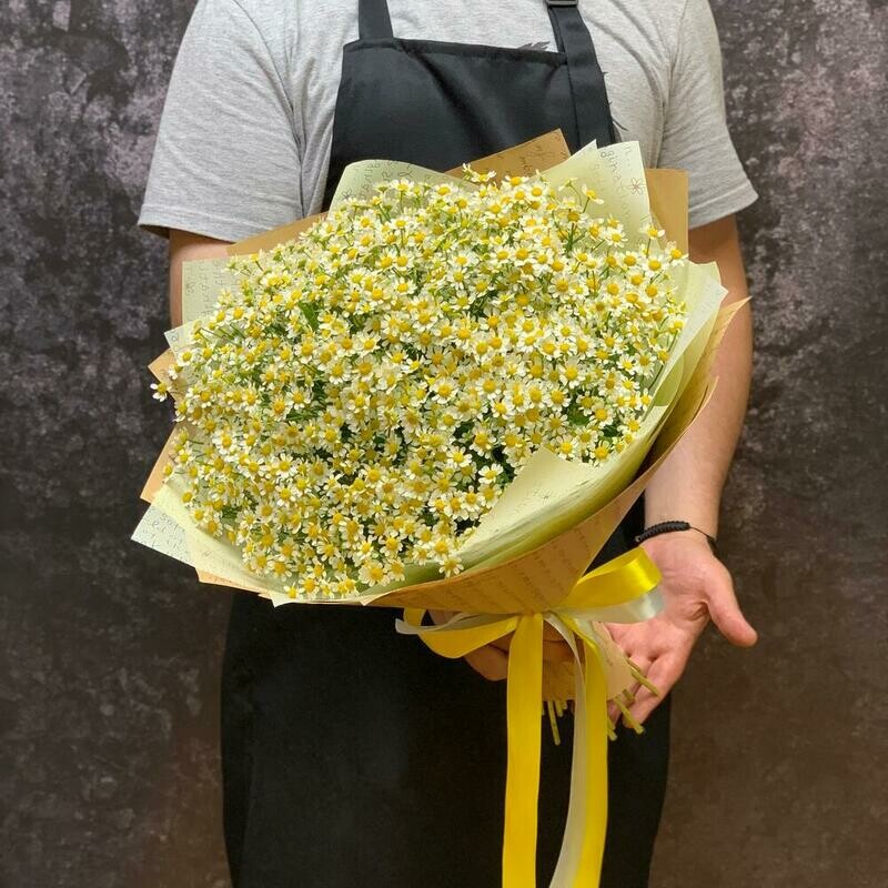 Ромашки 25 , стандартный