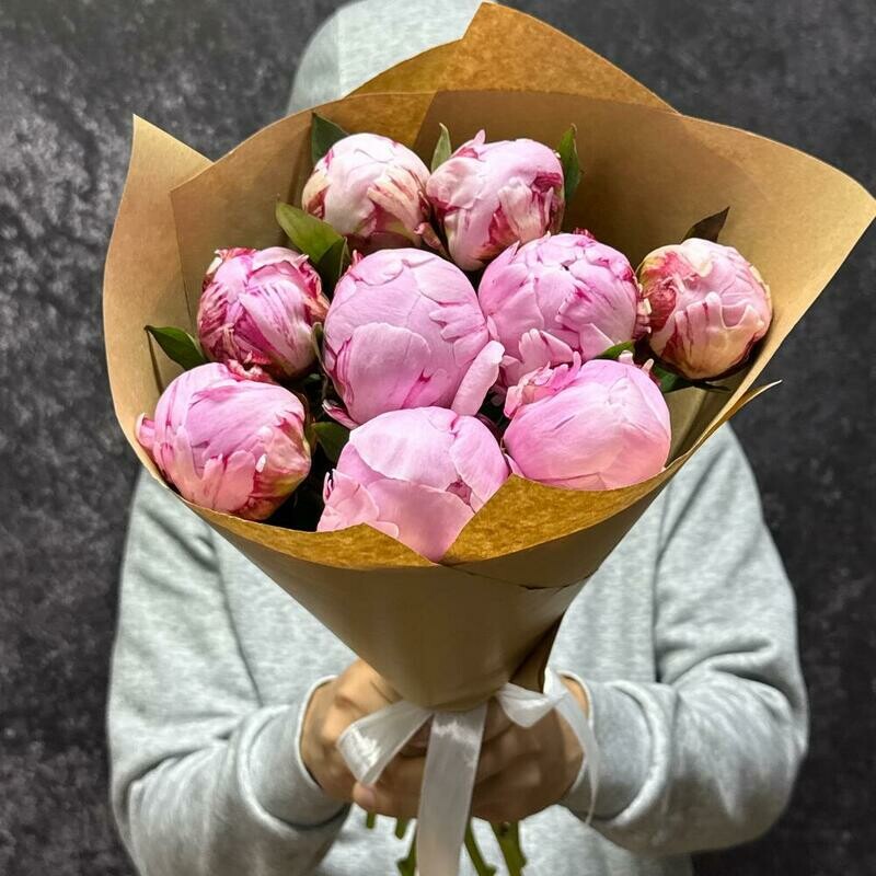 Пионы 9 штук, пион