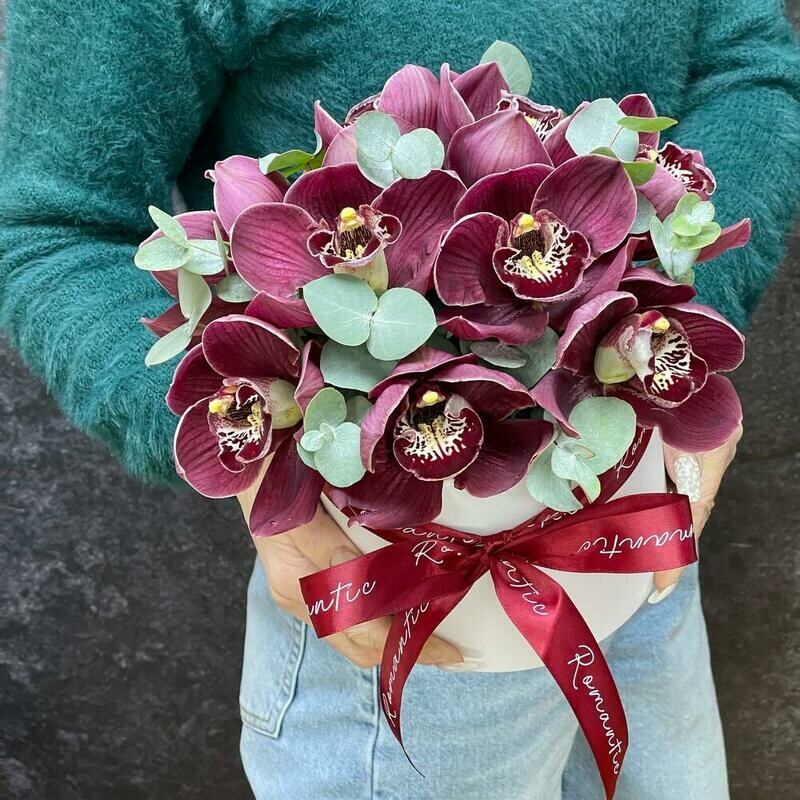 Дикая орхидея, орхидея 