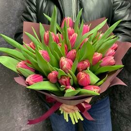 Pionovidnie tyul_pani