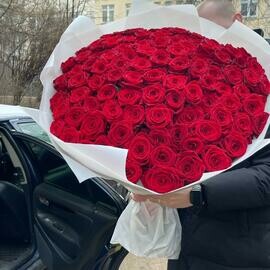 101 Роза гигант