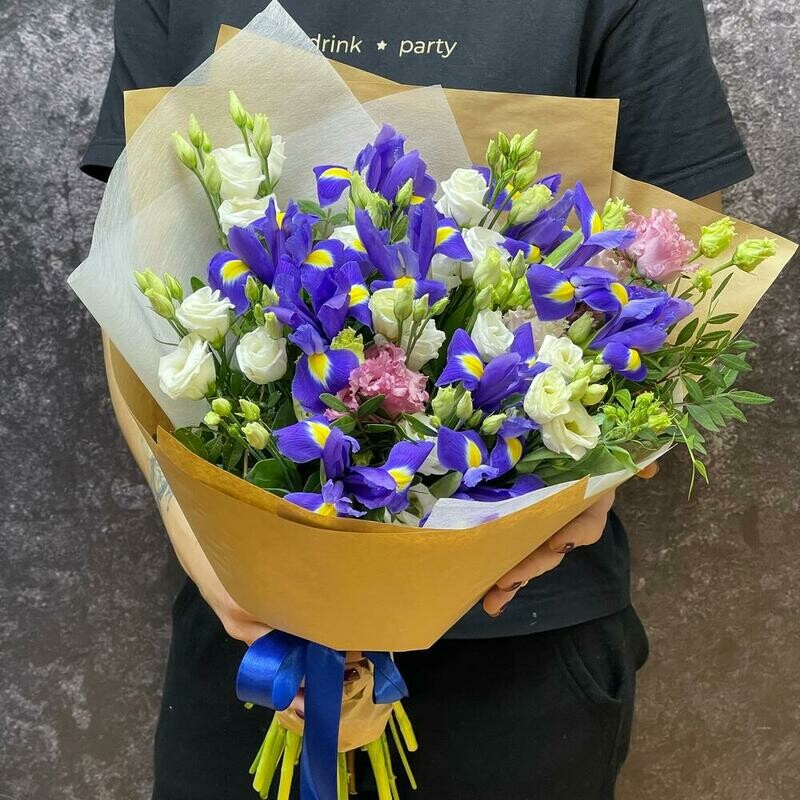 Irisi s eustomoj, standart