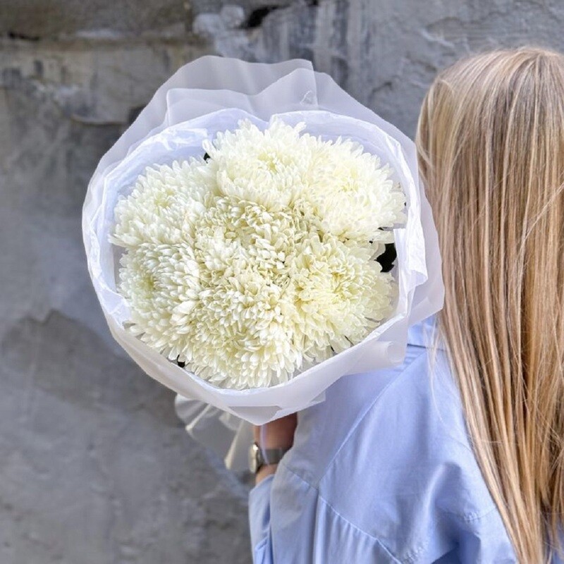 Prekrasnoe daleko, 7 belih hrizantem