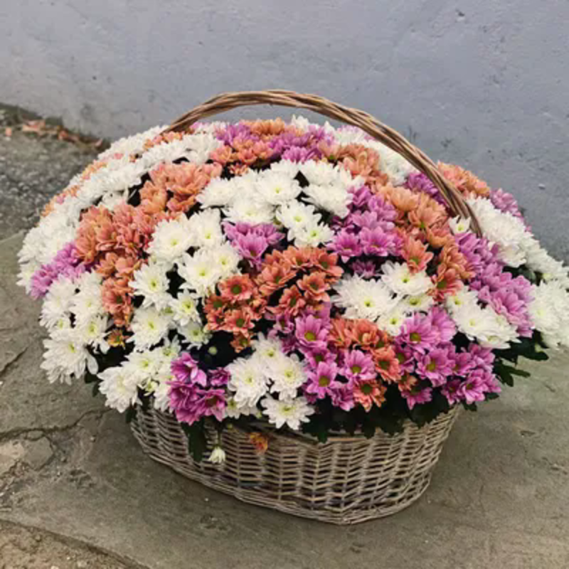 Корзина из 85 хризантем микс, делюкс