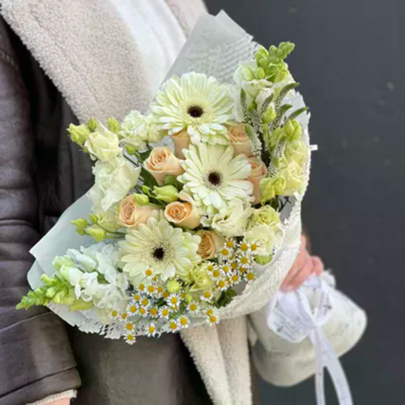 Solntce Monako, standart