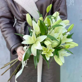 Buket iz 5 lilij