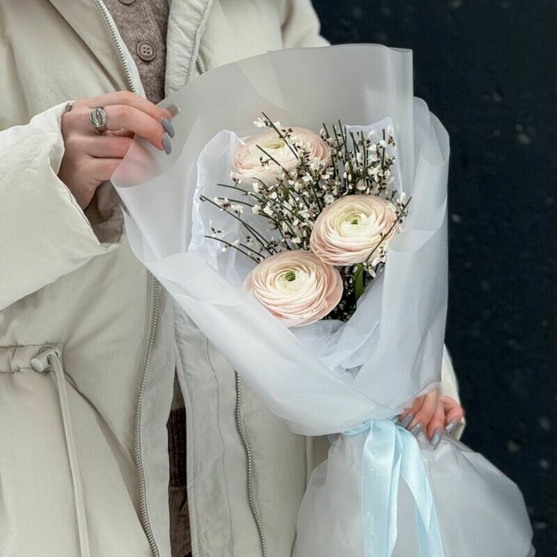 Раник, стандартный