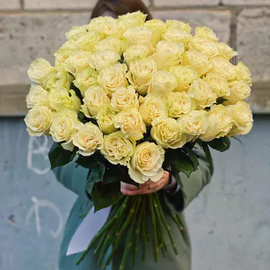 Букет из 51 белой розы 70 см