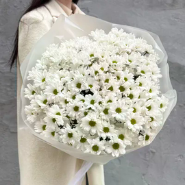 Букет из 25 хризантем