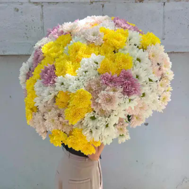 Букет из 51 хризантемы микс, делюкс