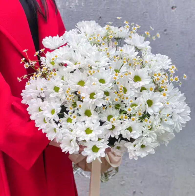 Романтичный круиз, стандартный