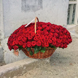 Korzina iz 251 krasnoj rozi