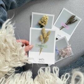 Otkritka s suhotcvetami