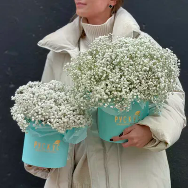 Oblako lyubvi, standart