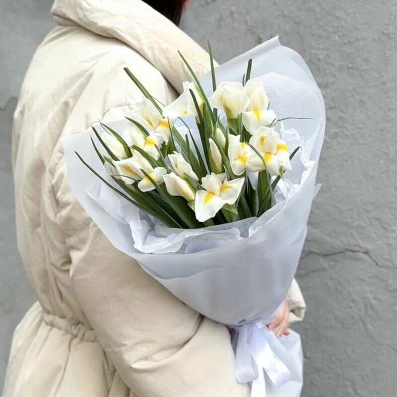 Buket belih irisov, standart