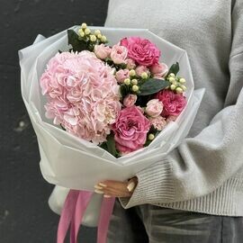 Розовые морозы