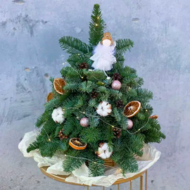 Хвойный лес