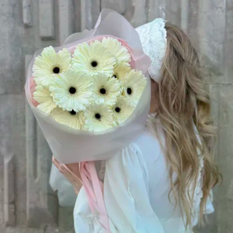 Сновидение, стандартный