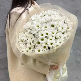 Romashki dlya lyubimih