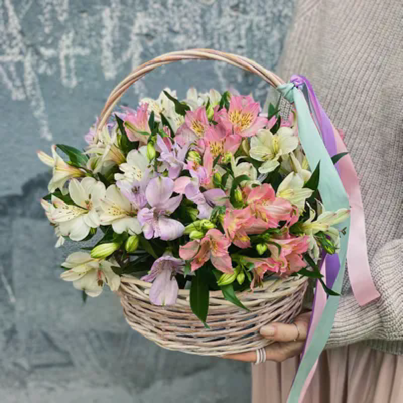 Korzina iz al_stromerii, standart