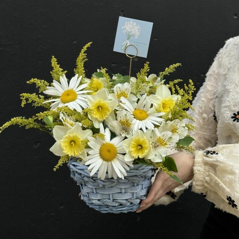 Солнце внутри, стандартный