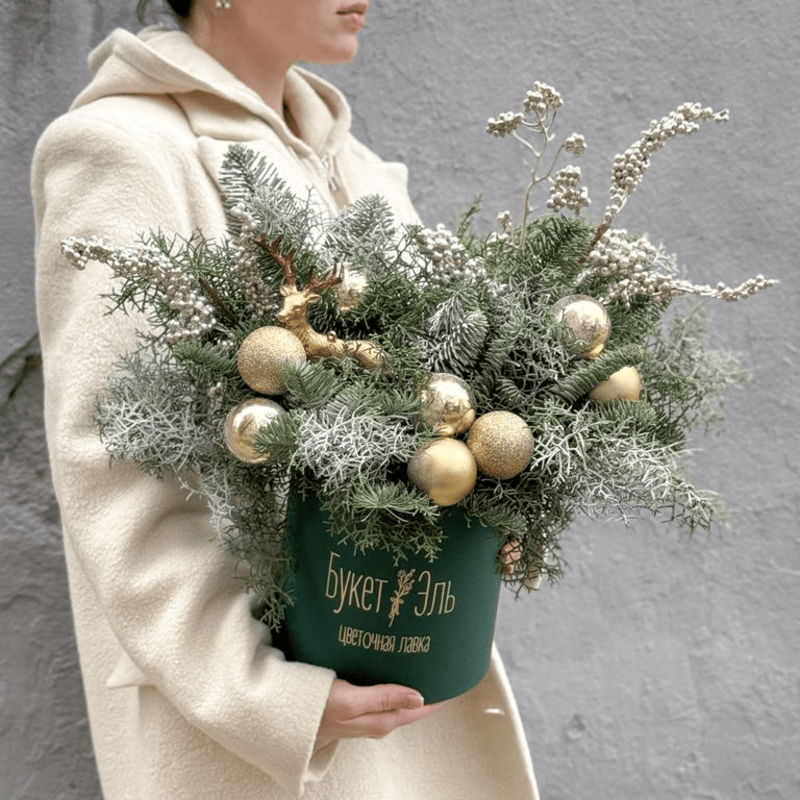 Severnij olen_, standart