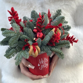 Novogodnyaya kompozitciya v kruzhke (v assmortimente)