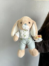 Заяц в комбинезоне