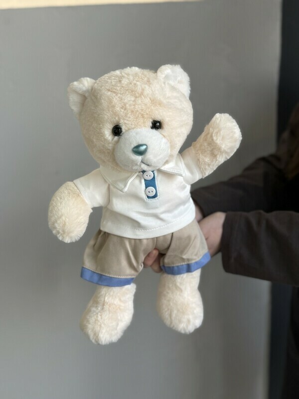 Очаровательный мишутка в стильном поло, очаровательный мишутка в стильном поло