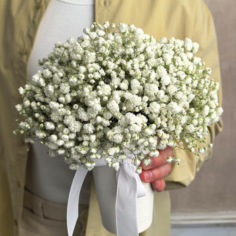 kompozitcii iz gipsofili, gipsofila