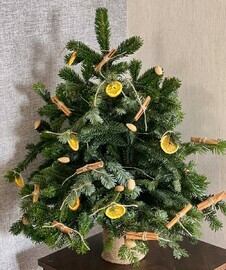 Рождественская Композиция 