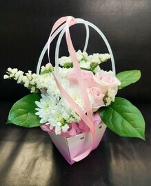 «Нежность в градиенте»