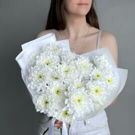 Belij buket hrizantema kustovaya