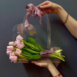 Tyul_pan Pionovidnij v Sumochke 19 shtuk Dreamer Drimer Pion