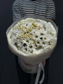 Букет Ромашки Хризантемы Белый