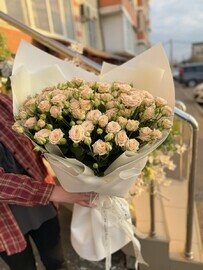 Букет Гигант Кремовый Кустовая Роза 