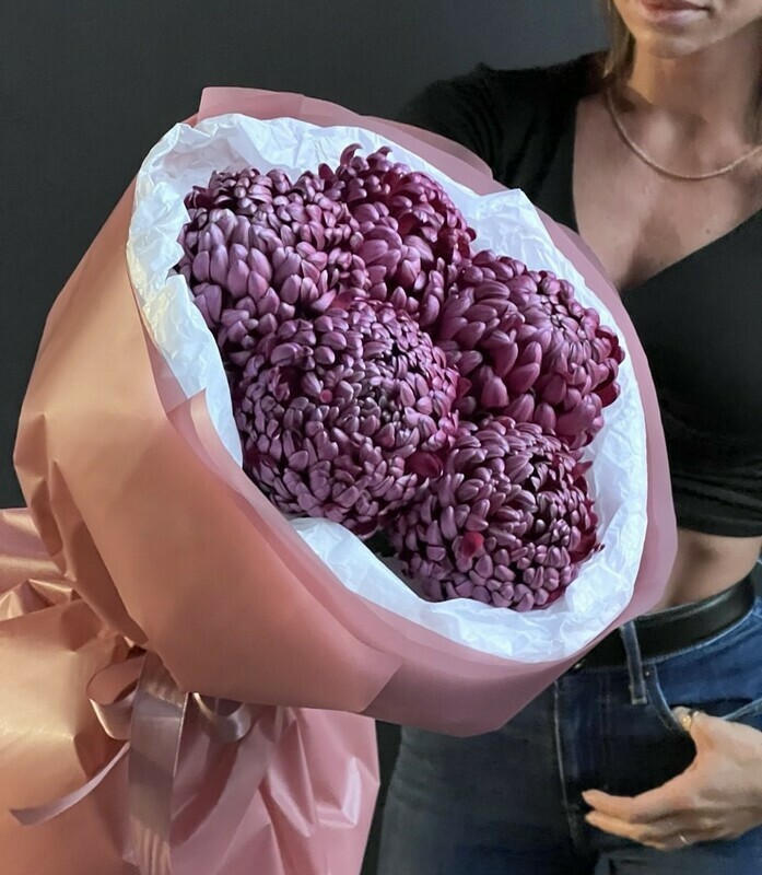 Mono buket iz hrizantem Bigudi " Burgundi", premium