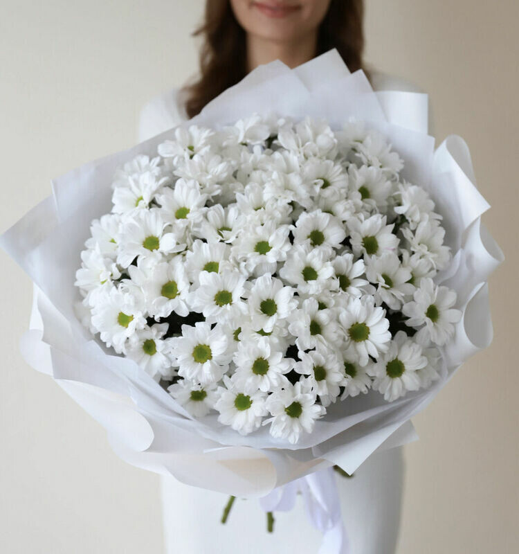 Кустовые ромашковые хризантемы , стандартный