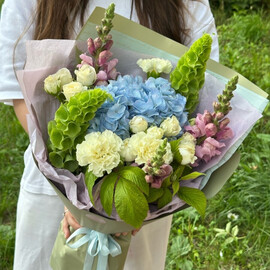 Molyutcella, antirrinum, malina