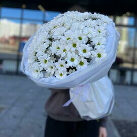 Букет хризантем