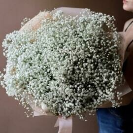 Букет из Гипсофил «Белое облачко»