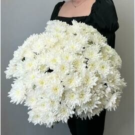 Buket hrizantem kustovih (biltika)