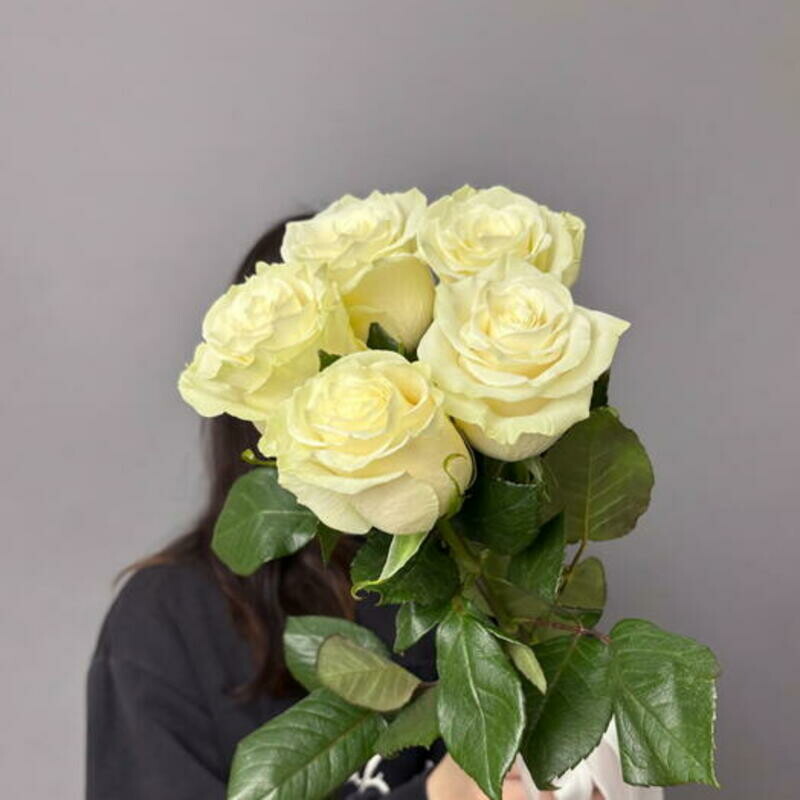 Buket belih roz, buket belih roz