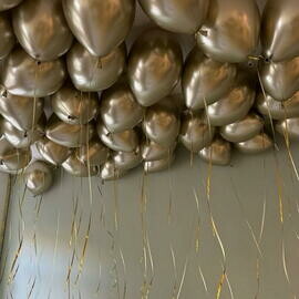 Vozdushnie shariki 35sht